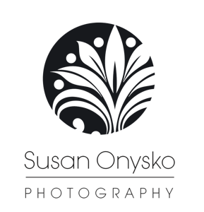 SOP Logo - Transparent Logo